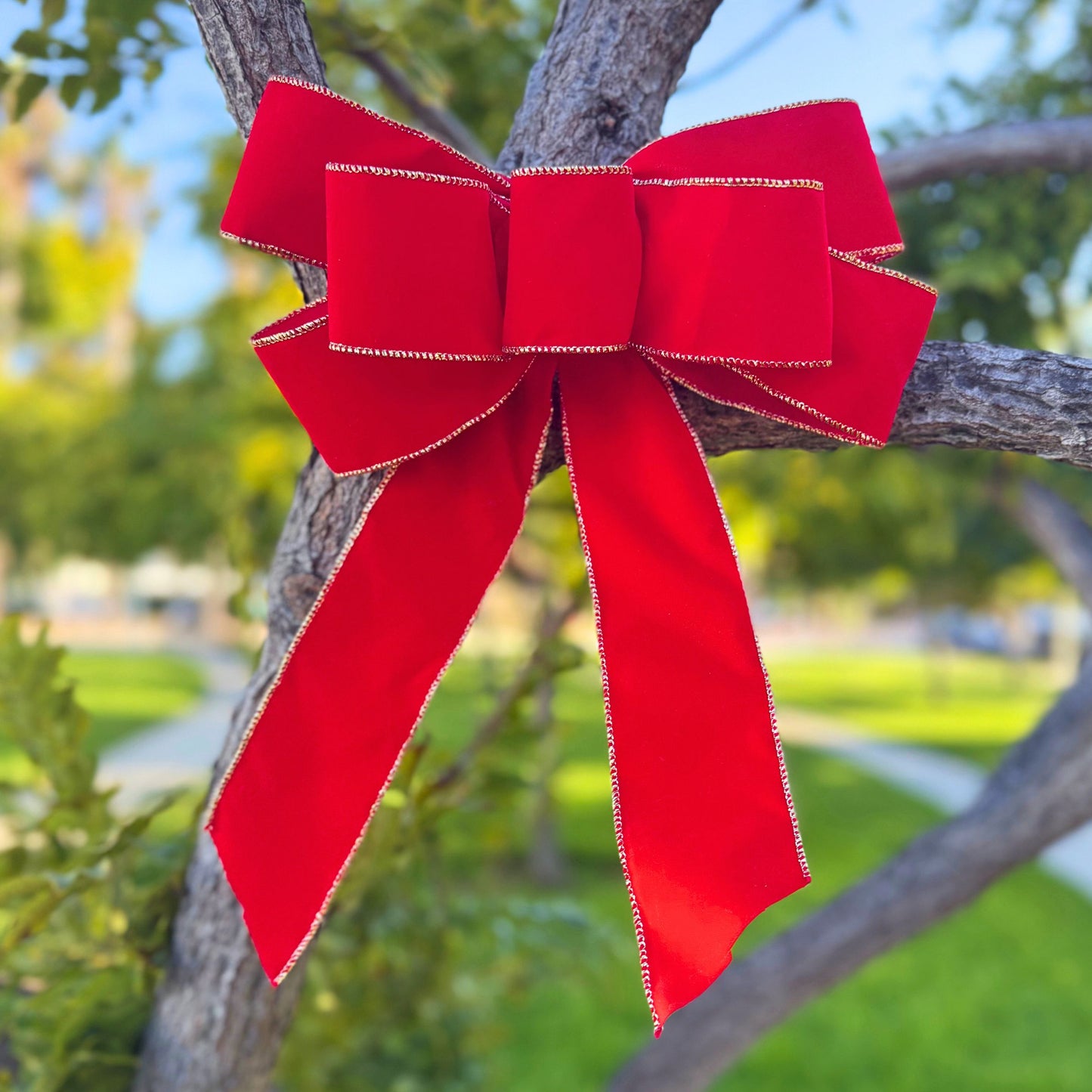 Classic Red Velvet Bow