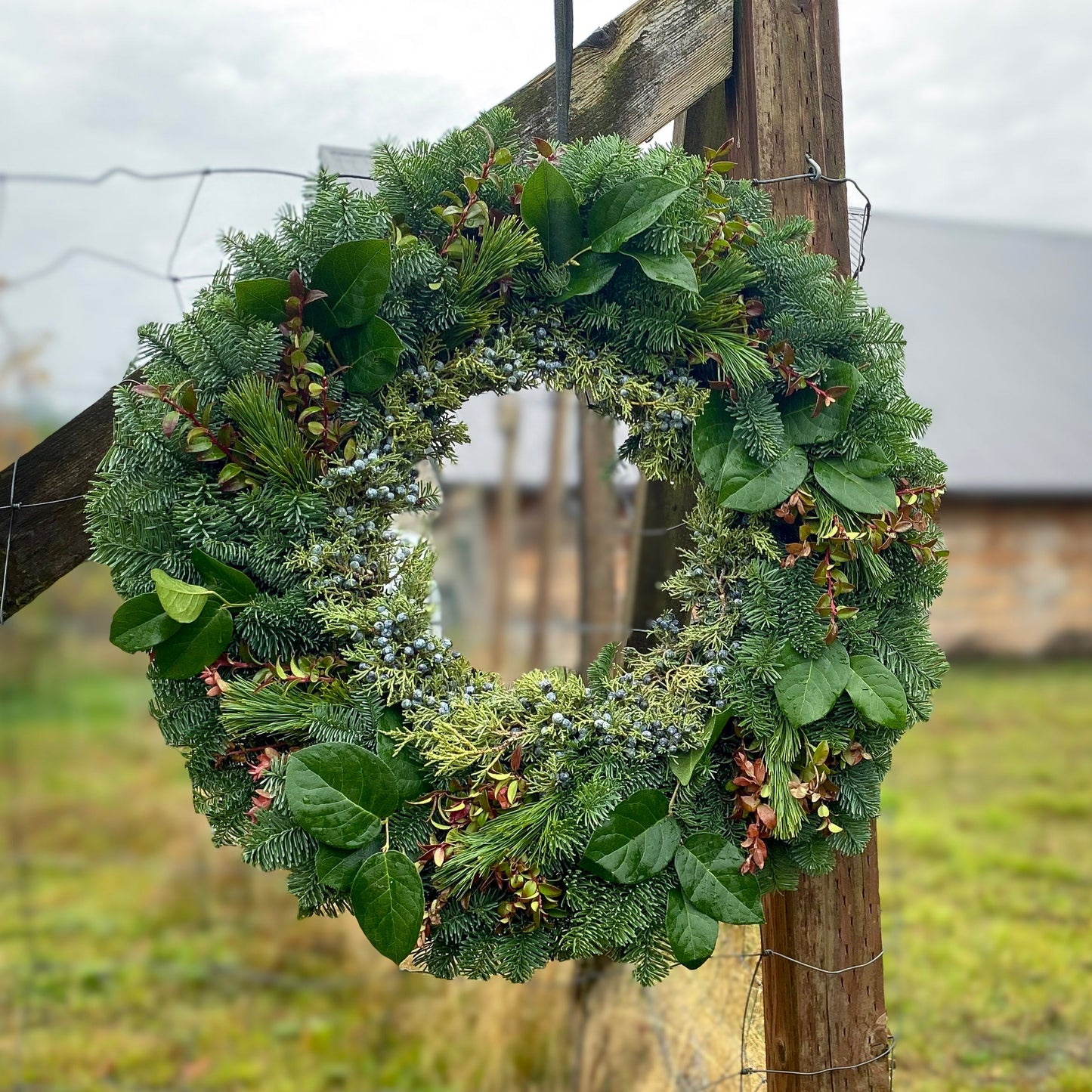 Evergreen Grandeur 26" Fresh Wreath