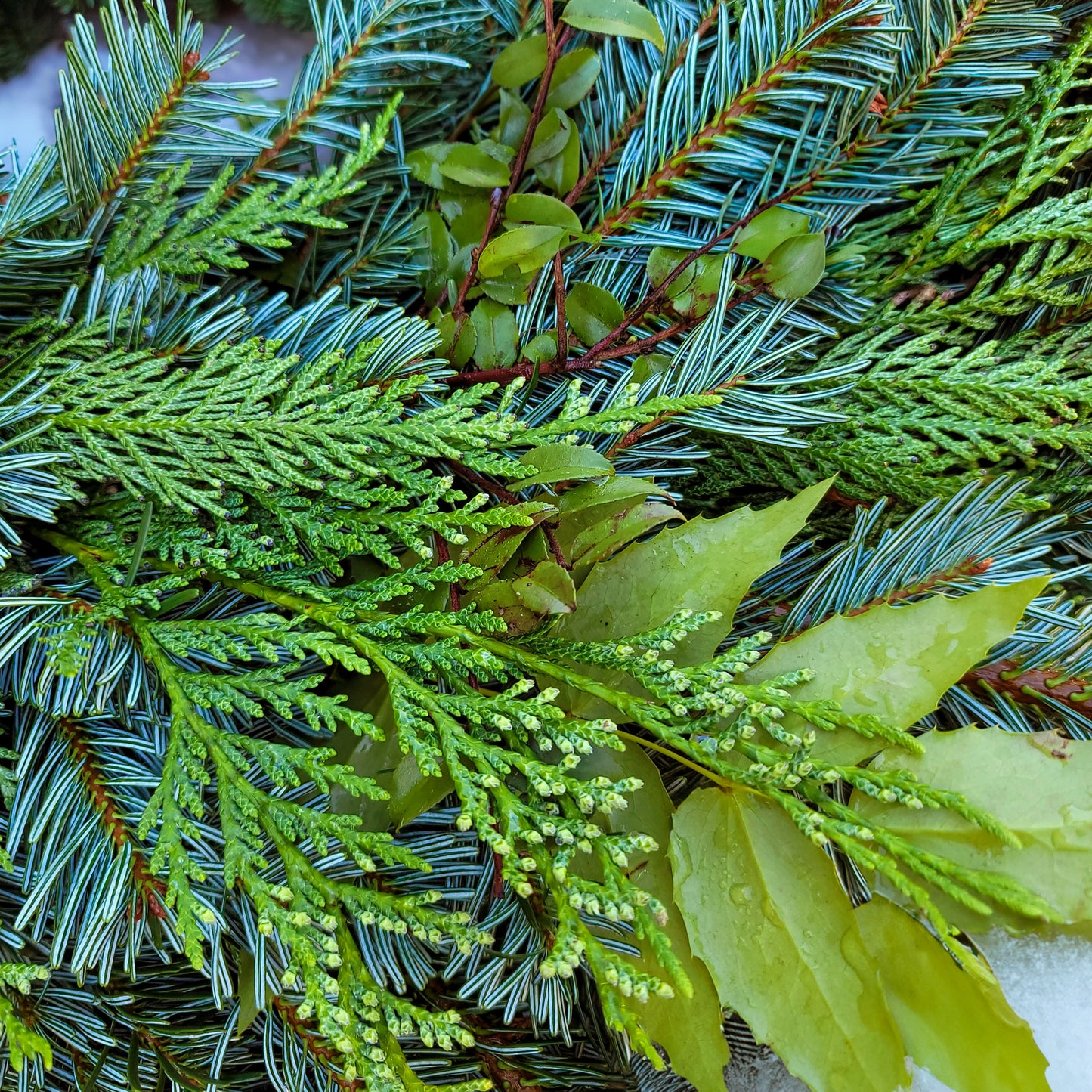 Silver Bells 26" Fresh Wreath