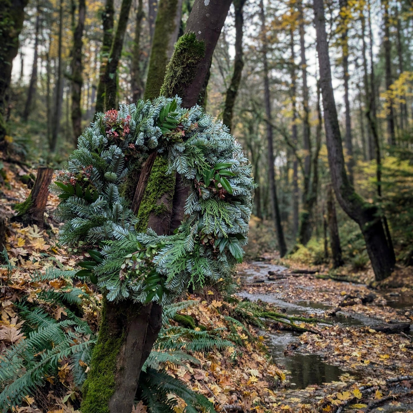 Silver Bells 26" Fresh Wreath