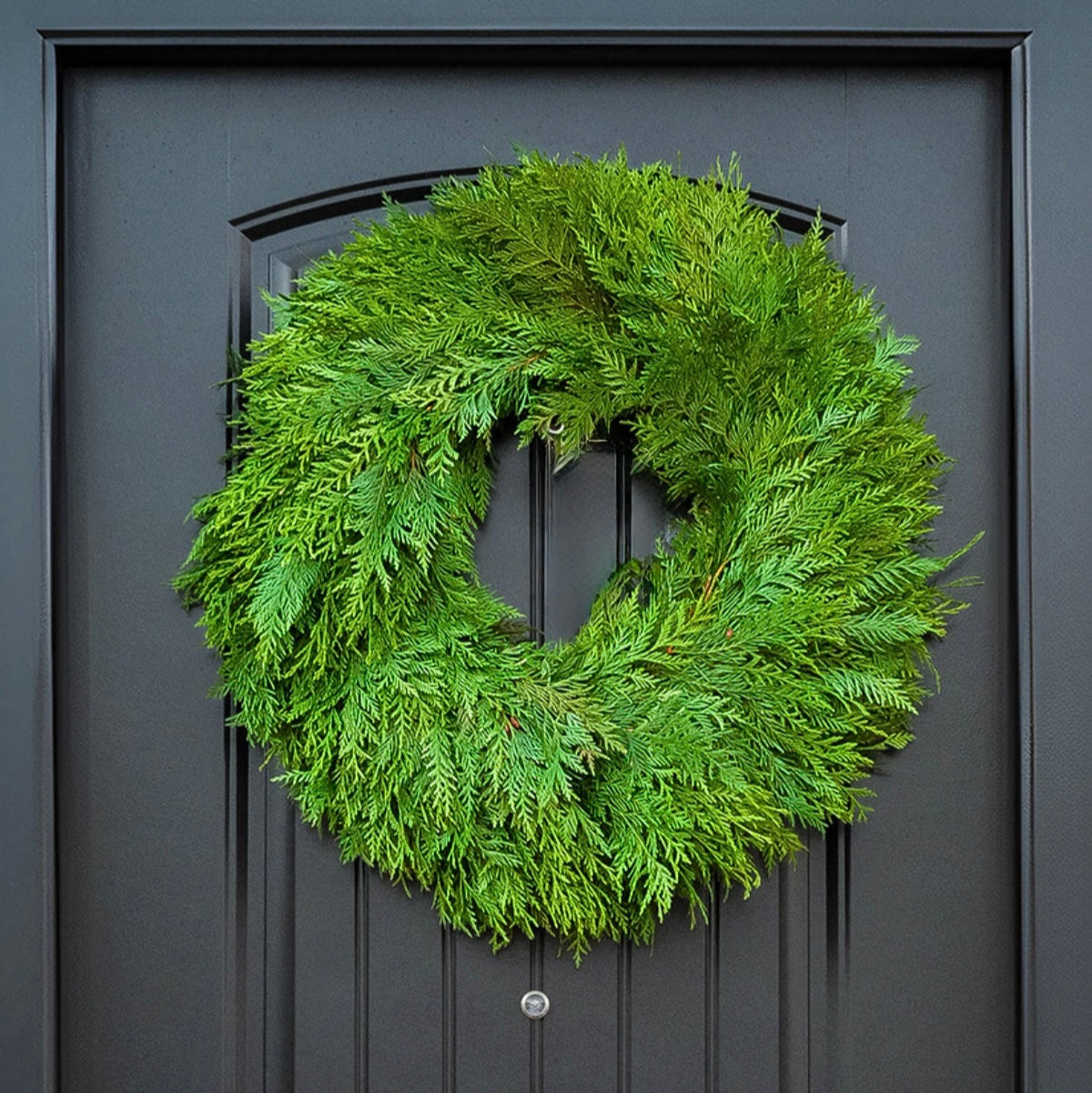 Winter Solstice 26" Fresh Cedar Wreath