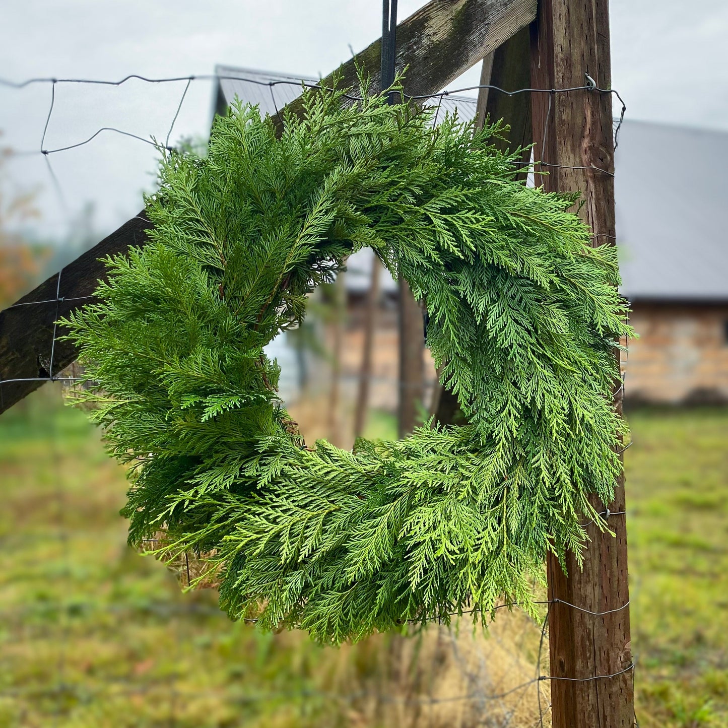 Winter Solstice 26" Fresh Cedar Wreath