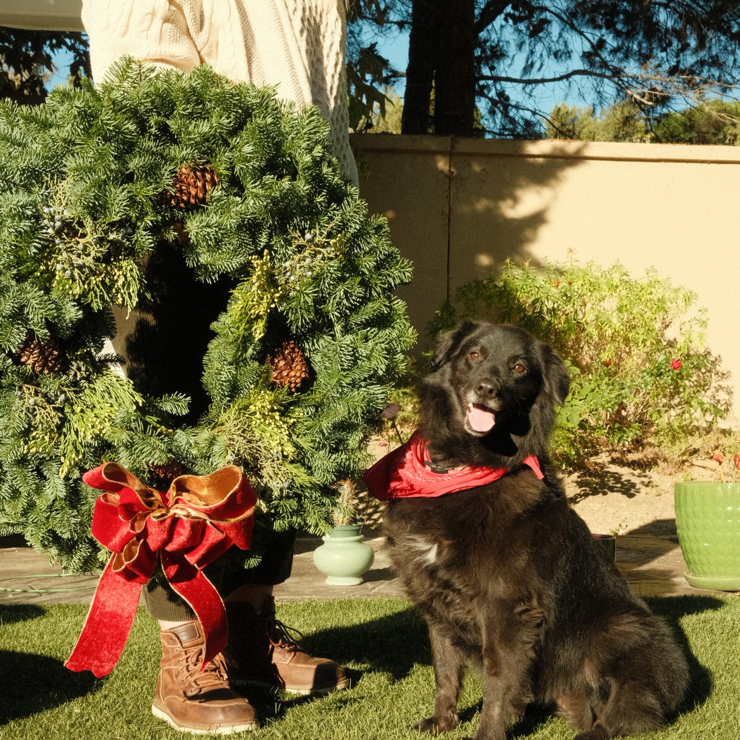 Yuletide Classic 26" Fresh Wreath