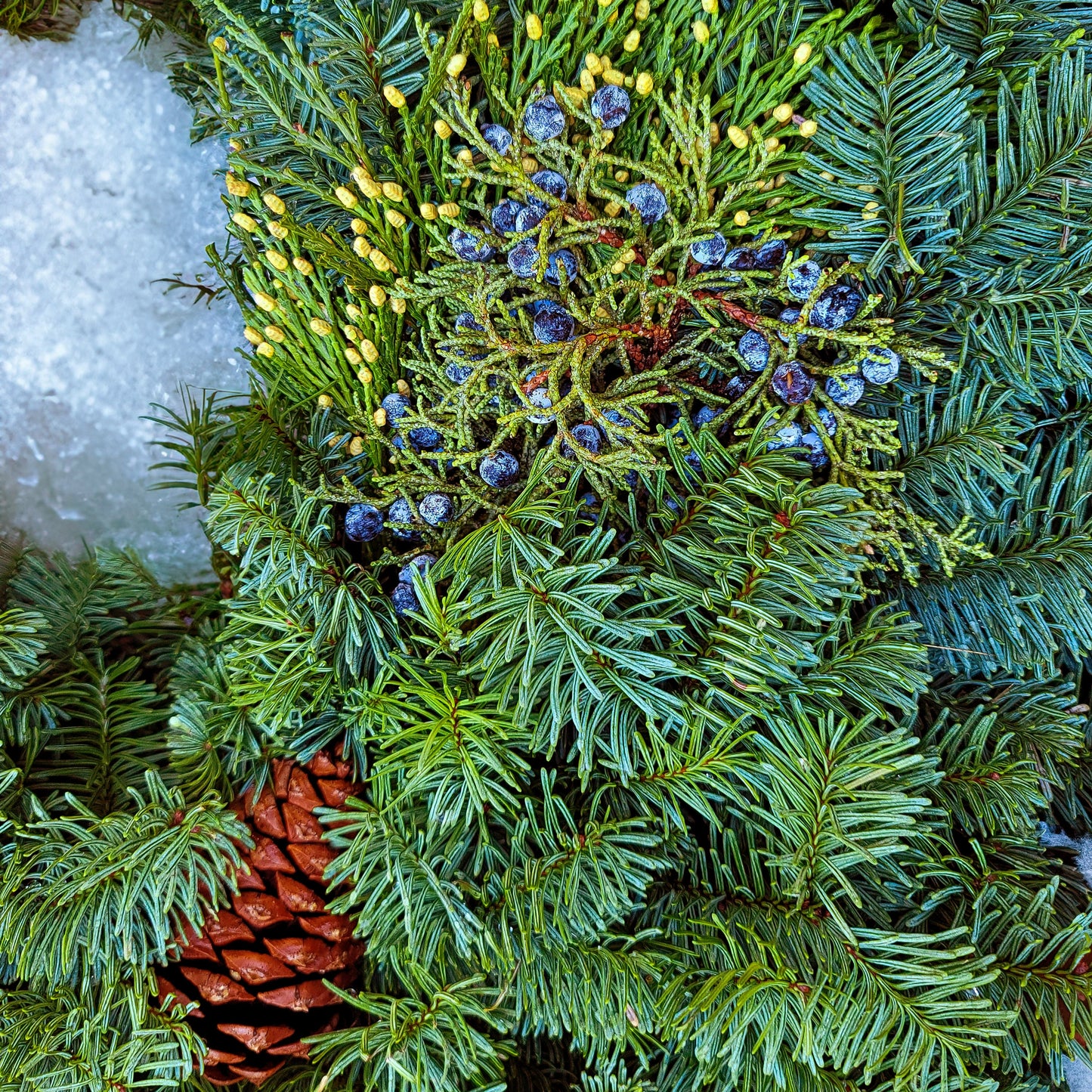 Yuletide Classic 26" Fresh Wreath