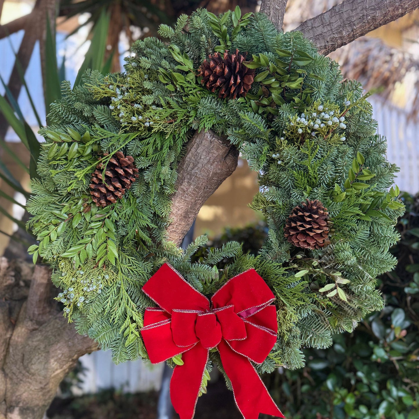 Classy Classic 26" Fresh Wreath
