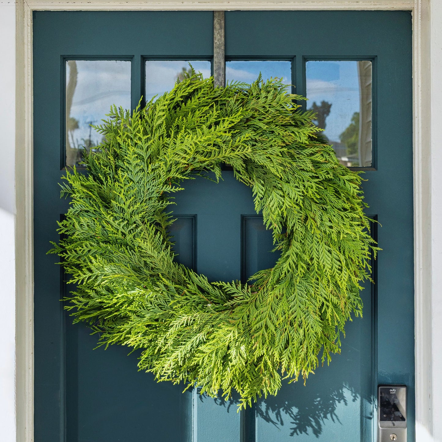 Winter Solstice 26" Fresh Cedar Wreath
