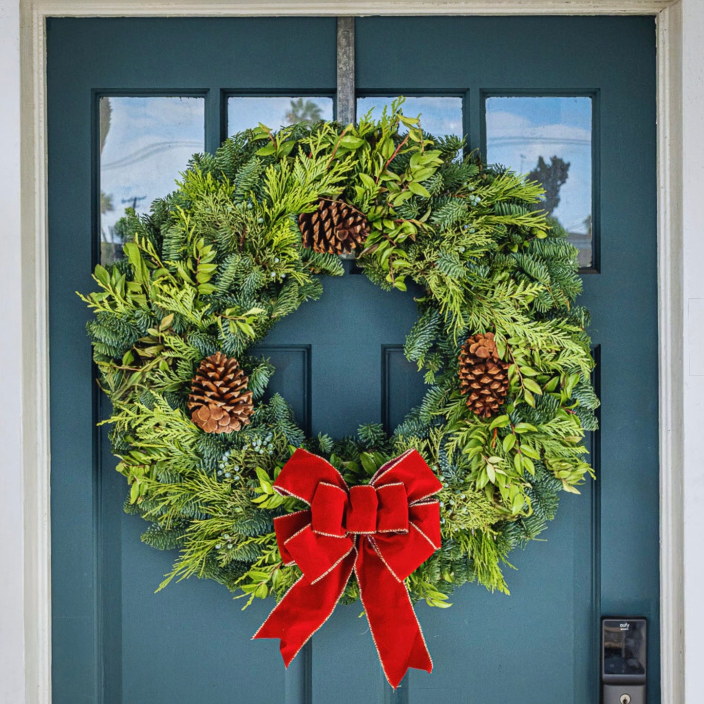 Classy Classic 26" Fresh Wreath