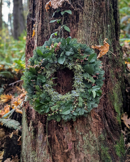 Evergreen Grandeur 26" Fresh Wreath