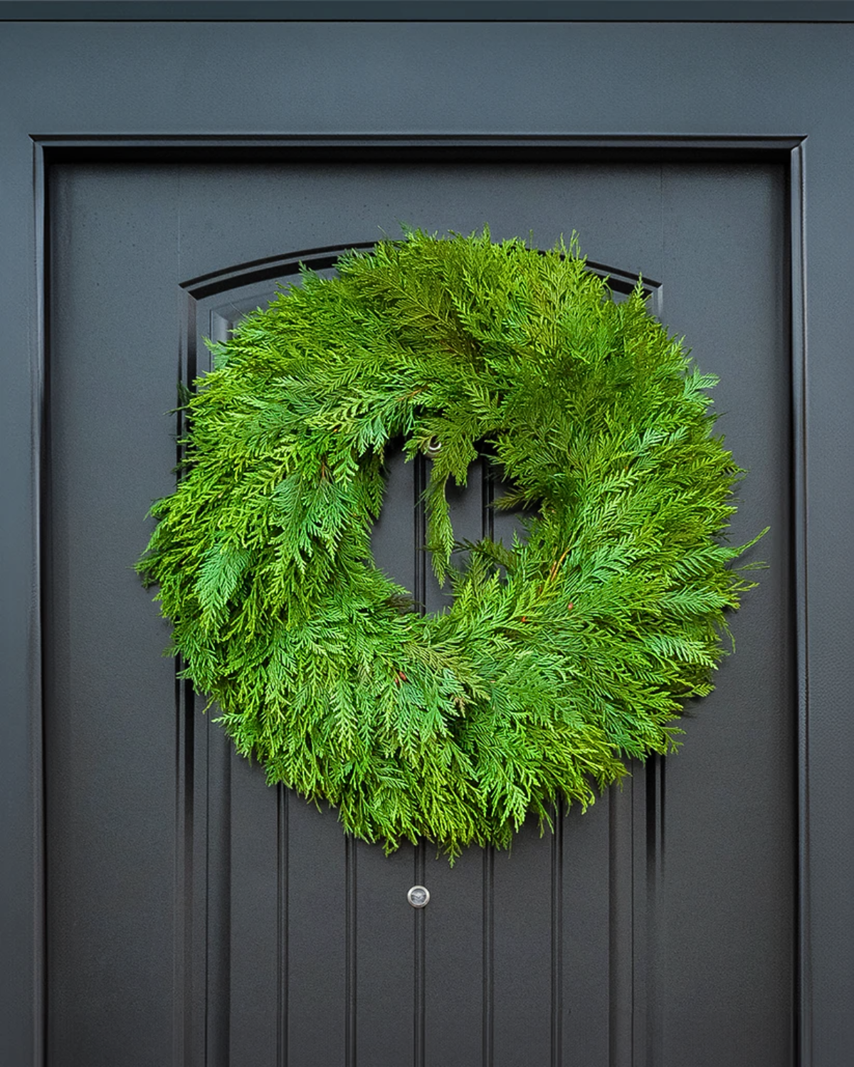 Winter Solstice 26" Fresh Cedar Wreath
