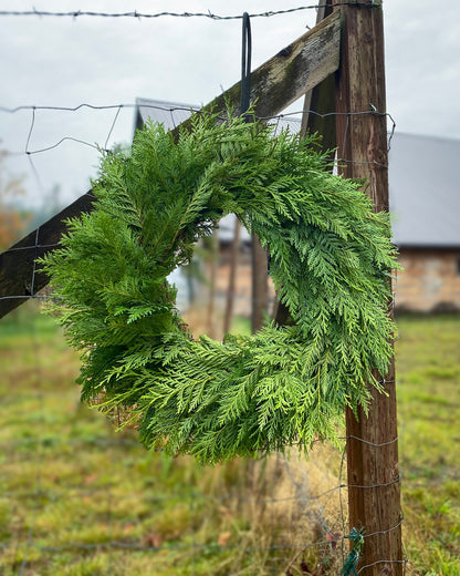 Winter Solstice 26" Fresh Cedar Wreath