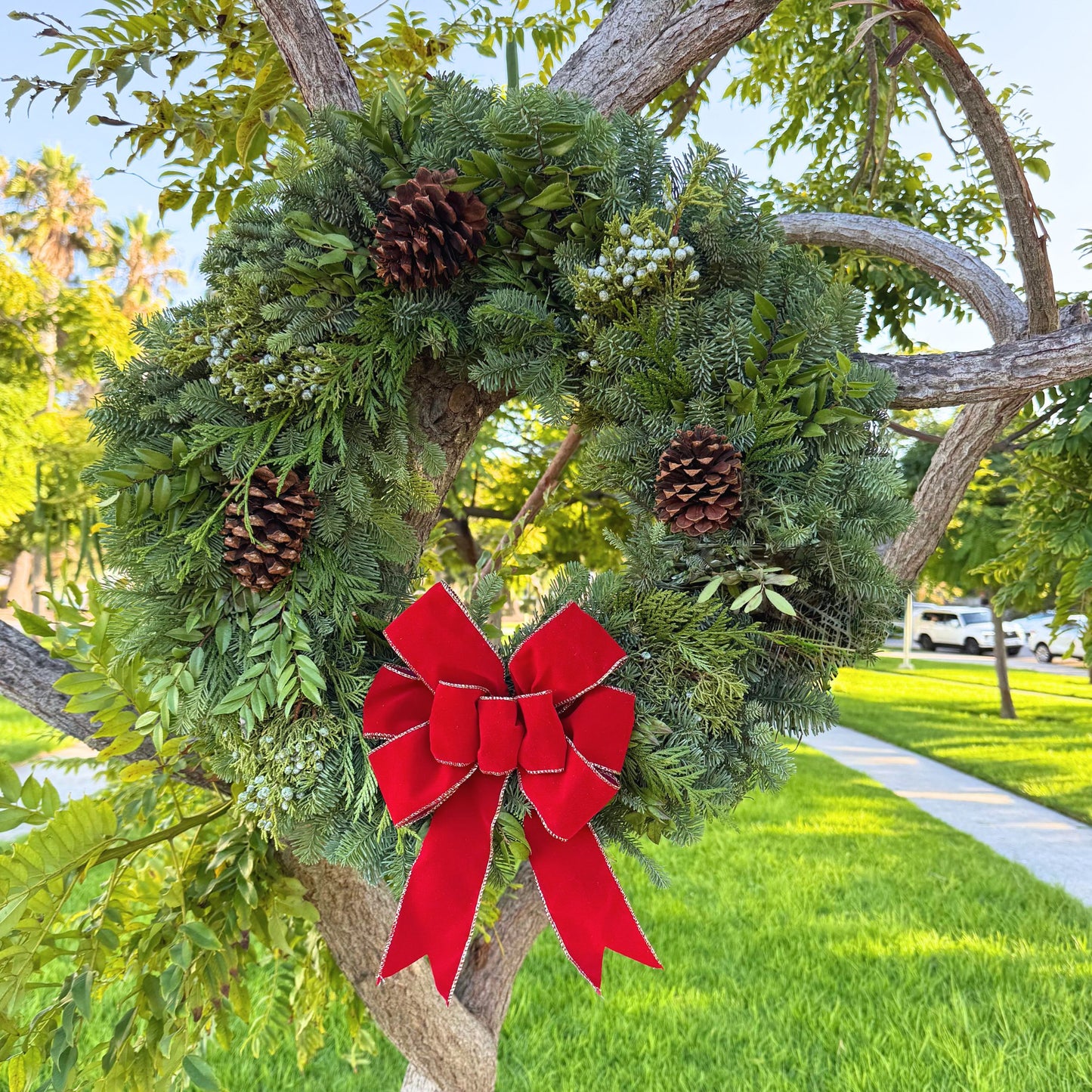 Classy Classic 26" Fresh Wreath