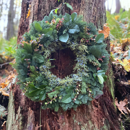 Evergreen Grandeur 26" Fresh Wreath