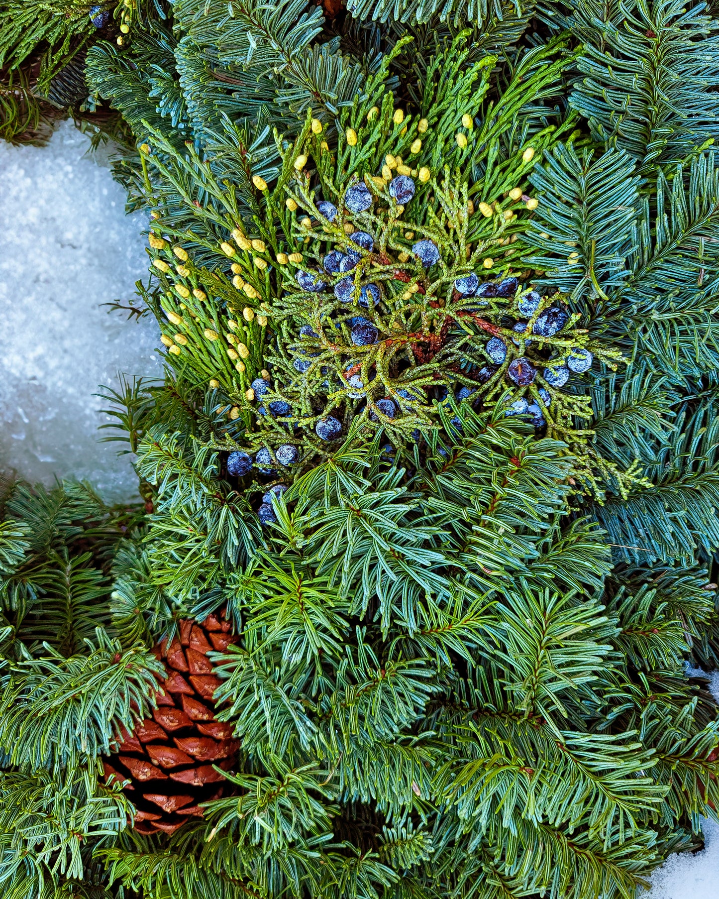 Yuletide Classic 26" Fresh Wreath